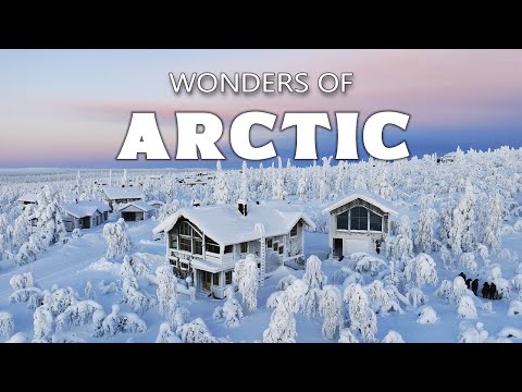Wonders of the Arctic | Earth's Last Great Wilderness | Travel Documentary 4K