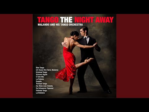 Du Schwarzer Zigeuner