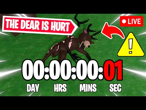 ROBLOX 99 NIGHTS IN THE FOREST 🔦 EVENT COUNTDOWN LIVE!🔴