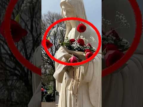¡MEDJUGORJE MILAGRO! Las Rosas de la Virgen VOLARON SOLAS
