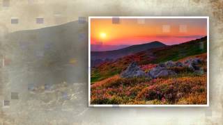 Your Grace - Maranatha Praise Band