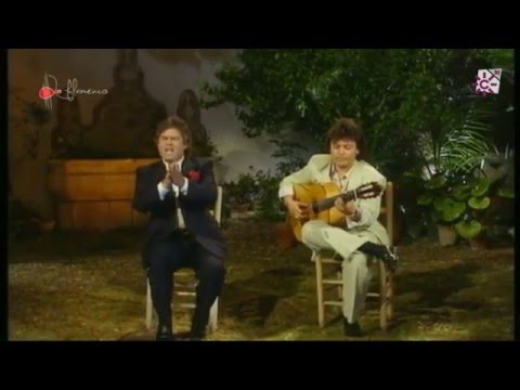 Bulerías. Curro Malena. 1991