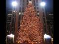 It S The Most Wonderful Time Of The Year