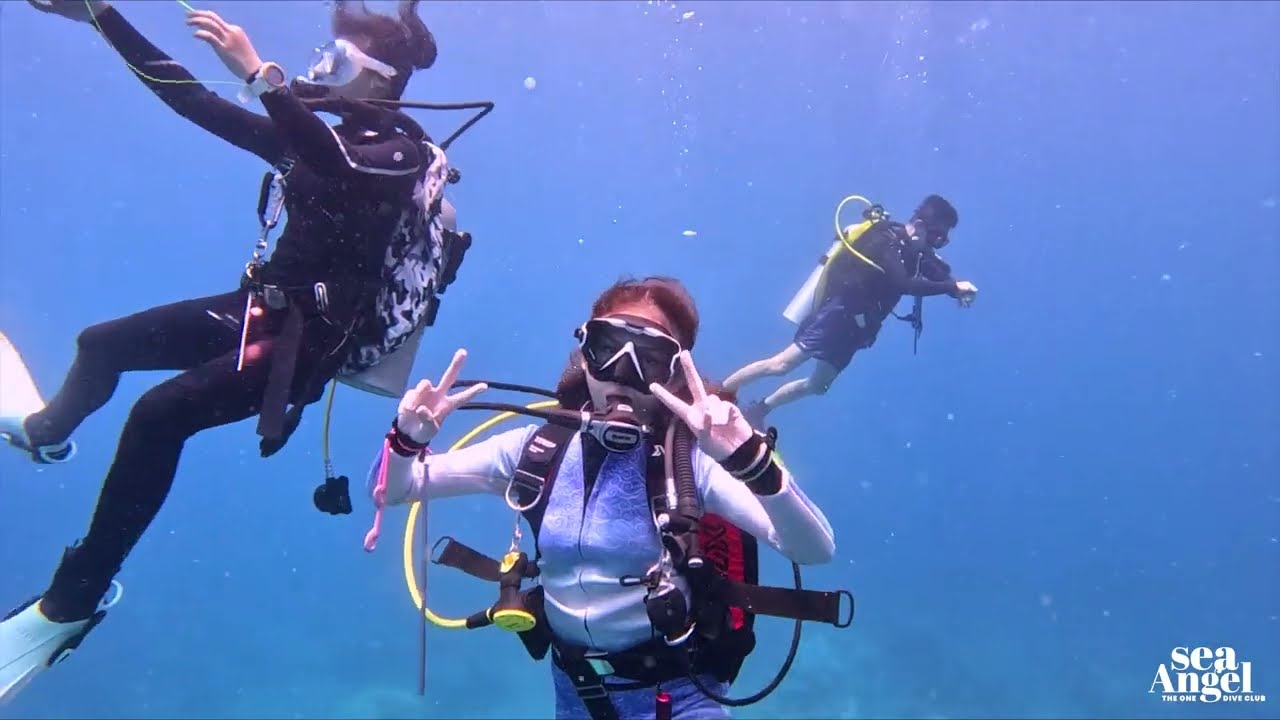 Bravely dive with us at Tenggol Island now!