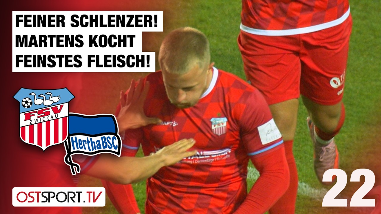 FSV Zwickau vs Hertha BSC II U23 Highlights