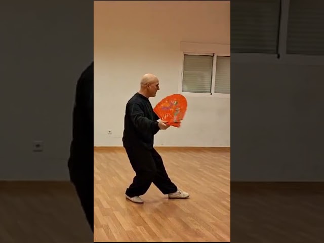 Vídeo relacionado con Zapatillas Chinas de Kung Fu de Lona para Artes Marciales, Zapatos de Tai Chi, Suela de Goma, Unisex, Todo Negro, Talla EU 37 (235cm)