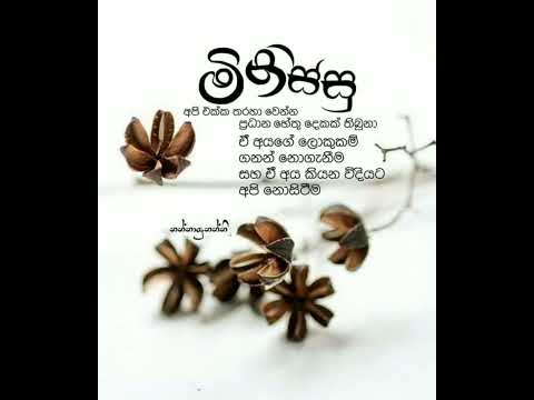 #wadan #youtubeshorts #love  wadan #motivation #srilanka