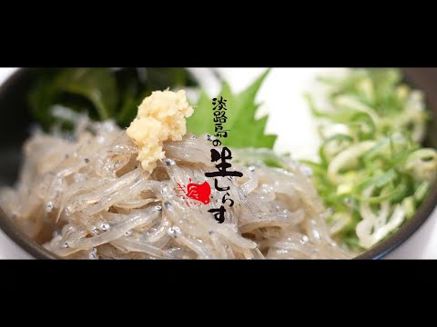 【淡路島の生しらす】島内63店舗それぞれの「生しらす丼」が味わえる！11月30日まで | TABIZINE～人生に旅心を～  