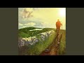 Star of the County Down
