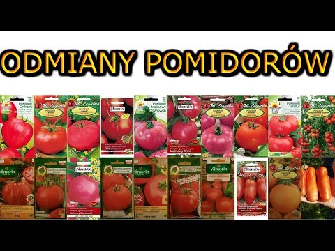 , title : 'Odmiany Pomidorów Wielkoowocowych - ciekawe i polecane'