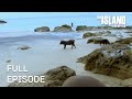 Starving and Dehydrated | The Island with Bear Grylls | Season 2 Episode 6 | Full Episode