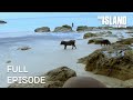 Starving And Dehydrated The Island With Bear Grylls Season 2 Episode 6 Full Episode