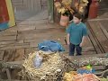 Barney Friends 313 At Home With Animals