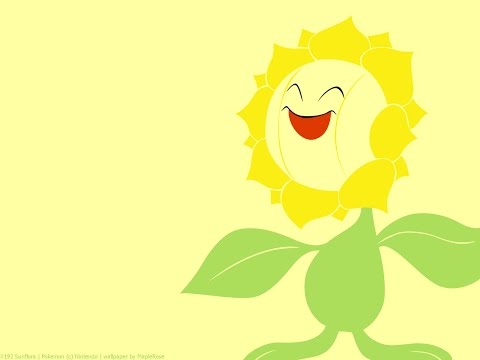 How to use Sunflora ORAS Strategy