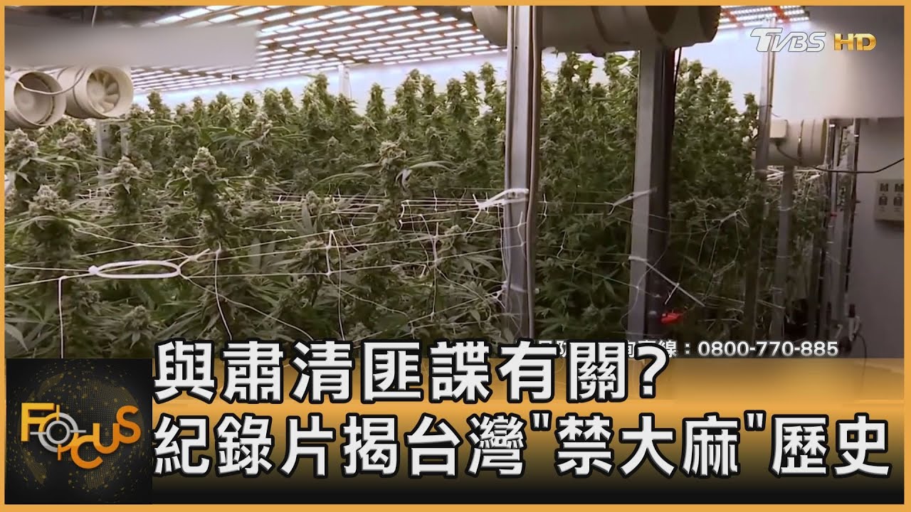 與肅清匪諜有關？紀錄片揭台灣「禁大麻」歷史