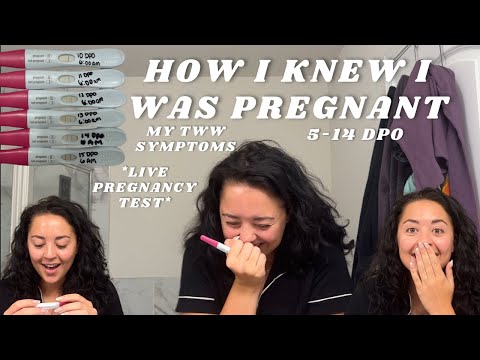 How I knew I was pregnant before BFP | Early pregnancy symptoms, Faint positive 10DPO, TWW