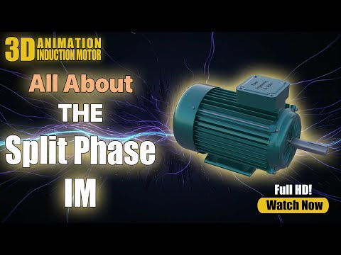 Single Phase Induction Motors: Structure, Wiring, Types, and Operation Explained
