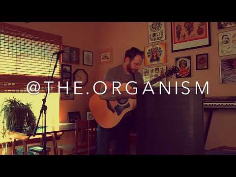 The Organism-Our Phenomena As Flowers (a live set) pt 1