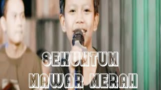 Download lagu SEKUNTUM MAWAR MERAH cover (FAREL PRAYOGA)viral TikTok mp3