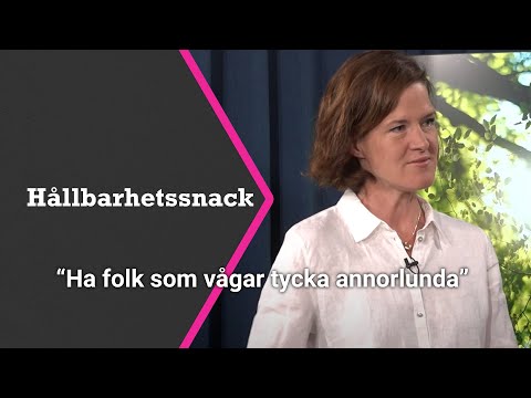 Anna Kinberg Batra om solenergibranschen