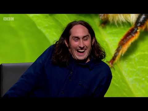 QI S14 XL Series N   10  Nature Nurture