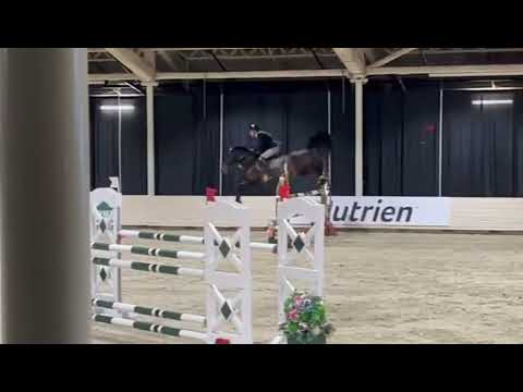 1.30m Spruce Meadows