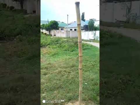 Plot