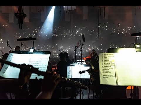 Vita de Vie - Șambala feat. OZN (Orchestra Zonder Naam) Live @ Sala Palatului