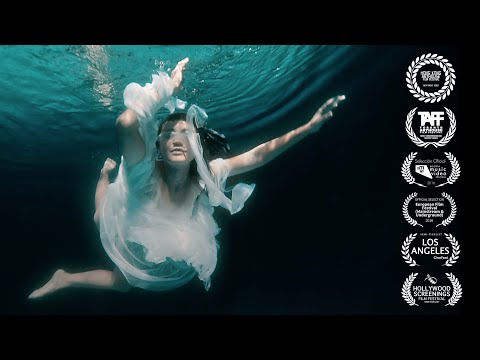 Stars and Rabbit - The House (Official Video)