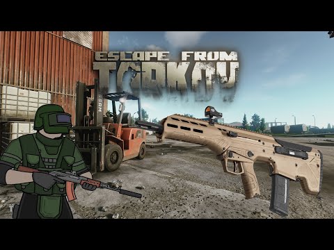 Customs Brawl - (5.56 DT-MDR)