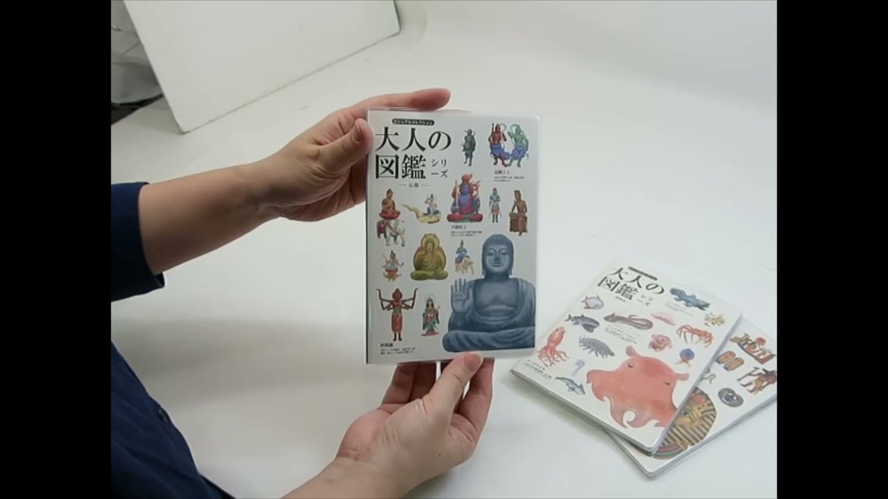 大人の図鑑 B6マンスリー手帳2022 2022年月間ダイアリーカミオジャパンスケジュール帳(13x18.5cm) 10月始まり令和4年手帖kmo-2022-201737-201740