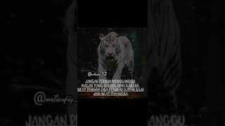 Download lagu 𝙎𝙩𝙤𝙧𝙮 𝙒𝘼 𝙢𝙖𝙘𝙖𝙣 𝙥𝙪𝙩𝙞𝙝 mp3