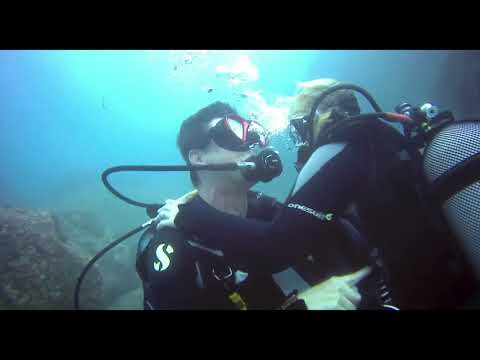 Bester Hochzeitsantrag 2017 unterwasser. Best Marriage Proposal 2017 underwater, Tauchen Madeira