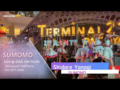 Shidare Yanagi เพลงใหม่ของวง SUMOMO - live@ IDOL ON TOUR by Terminal21 PATTAYA - IDOL IN THAI 4K