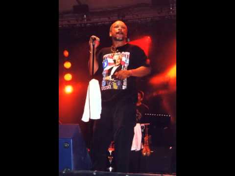 ISMAEL RIVERA Jr y RAFAEL CORTIJO jr.swf