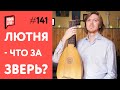 Лютня - что за зверь?