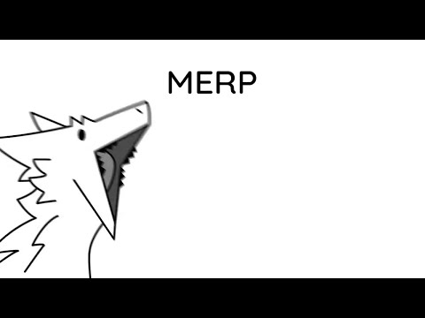 Merp 24/7