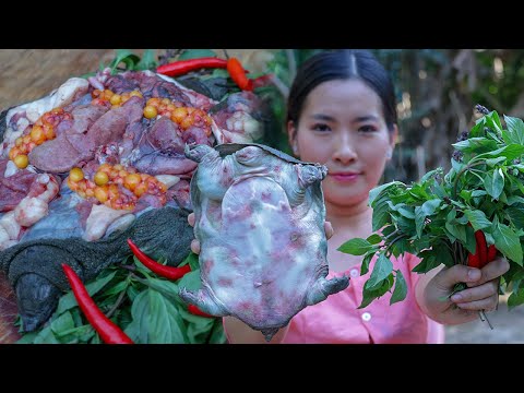 Cooking Tasty Turtle Soup Recipes In my Homeland - Cooking Technique