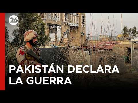 La mejor violinista es española, alto el fuego en Pakistán, descubren a Colón y otras buenas noticias de la semana