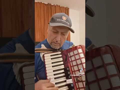 Acordeon Parrot cu 96 bași și 7 registre la clape și două la bași 