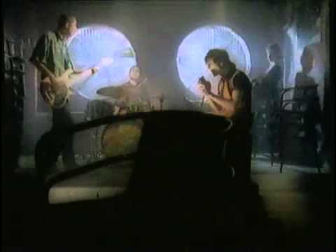 Rotary  - Na Jednej z Dzikich Plaż