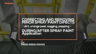 Walcom Polishing System // Correcting and Removing Minor Spray Paint Defects