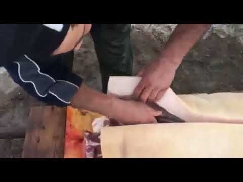 Tăierea porcului #5