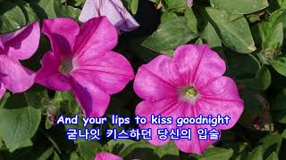 Toselli&#39;s Serenade(Dreams and Memories: 꿈과 추억) -- Perry Como: with Lyrics(가사번역) ||경복궁(Gyeongbokgung)