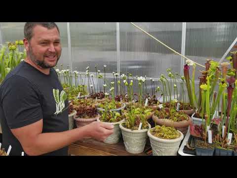 Big Greenhouse tour spring 2021