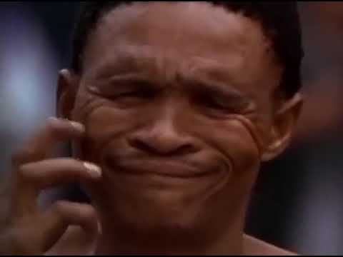 Hong Kong louco, os deuses devem estar loucos IV