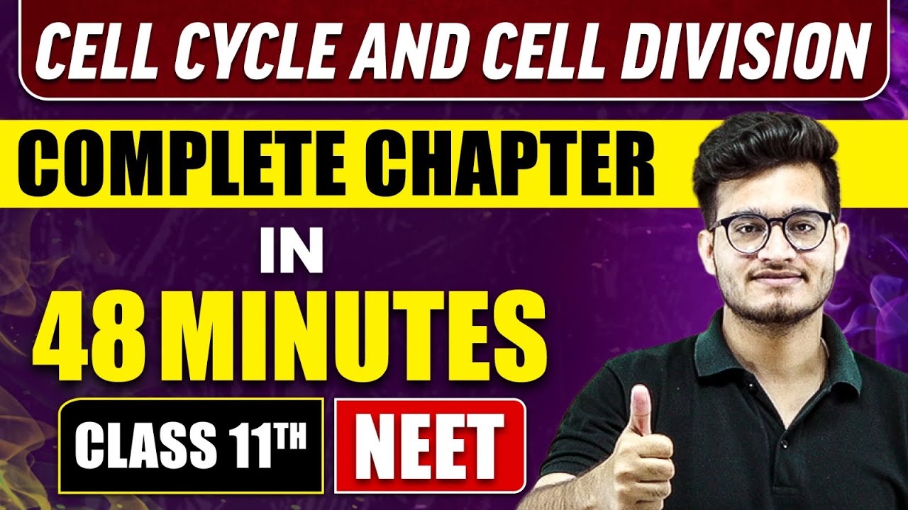 CELL CYCLE and CELL DIVISION in 48 Minutes | Full Chapter Revision | Class 11 NEET