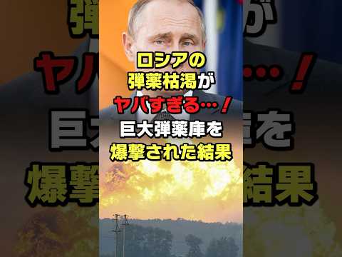 ロシア:巨大兵器の写真が浮上 – 「サタン」
