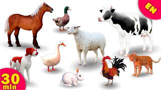 30 min Farm Animals for Kids | Animal Names and Sounds | Learn Animals