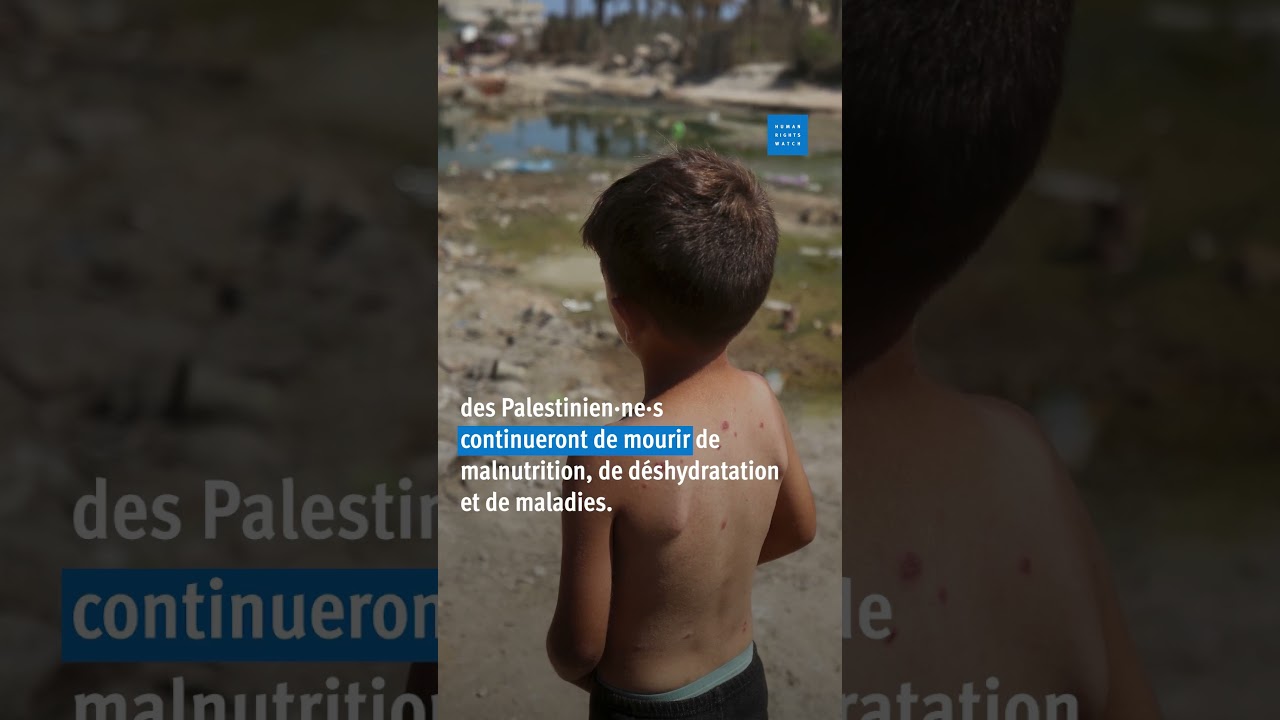 Gaza : Après le cessez-le-feu